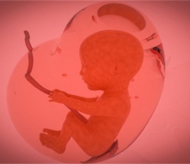给婴幼儿绍兴捐卵宝宝添加辅食应避免“四大罪过”